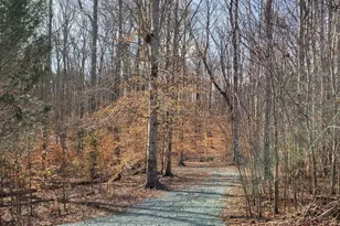 0 Lexie Ln, Palmyra, VA 22963 - Photo 2