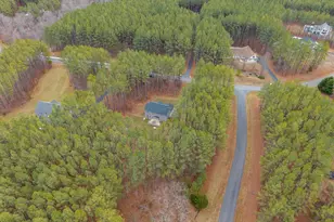 366 Country Creek Way, Palmyra, VA 22963 - Photo 52