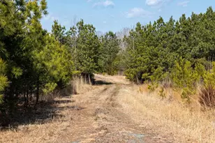 0 Central Plains Rd, Palmyra, VA 22963 - Photo 10