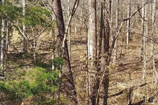 460 Jefferson, Palmyra, VA 22963 - Photo 1