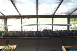 877 Holland Creek Rd, Louisa, VA 23093 - Photo 32