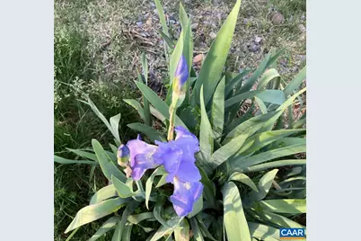 877 Holland Creek Rd, Louisa, VA 23093 - Photo 42