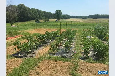 877 Holland Creek Rd, Louisa, VA 23093 - Photo 34