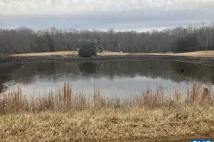 877 Holland Creek Rd, Louisa, VA 23093 - Photo 38