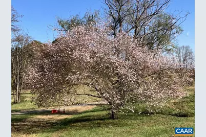 877 Holland Creek Rd, Louisa, VA 23093 - Photo 46
