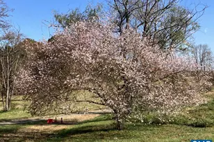 877 Holland Creek Rd, Louisa, VA 23093 - Photo 46