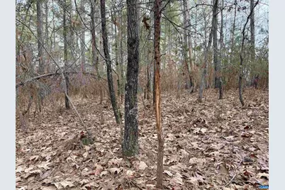 0 Green Spring Rd, Louisa, VA 22942 - Photo 18