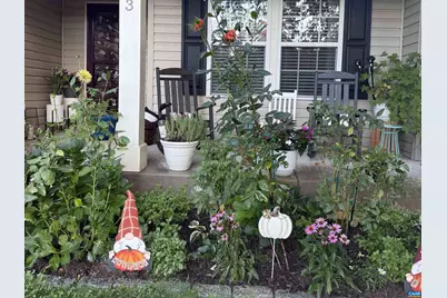 123 Sydney Way, Palmyra, VA 22963 - Photo 44