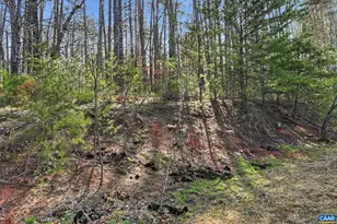 335 Cardinal Rd, Louisa, VA 23093 - Photo 46