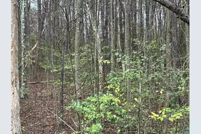 0 Elly Rd #50 81, Aroda, VA 22709 - Photo 14