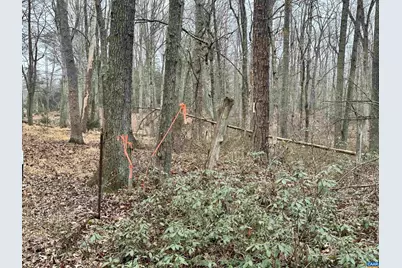 0 Elly Rd #50 81, Aroda, VA 22709 - Photo 2