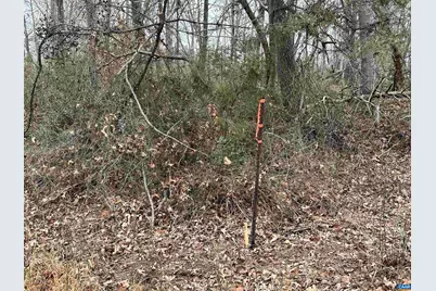 0 Elly Rd #50 81, Aroda, VA 22709 - Photo 6