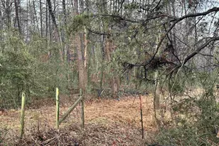 0 Elly Rd, Aroda, VA 22709 - Photo 1