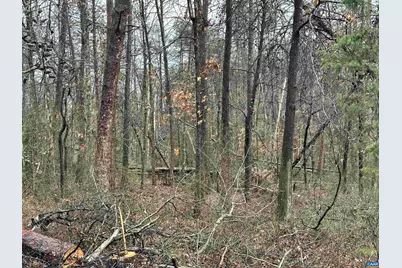 0 Elly Rd #50 81, Aroda, VA 22709 - Photo 12