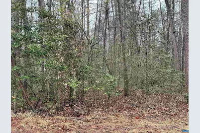 0 Elly Rd #50 81, Aroda, VA 22709 - Photo 10