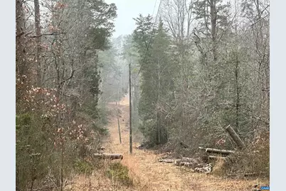 0 Elly Rd #50 81, Aroda, VA 22709 - Photo 4