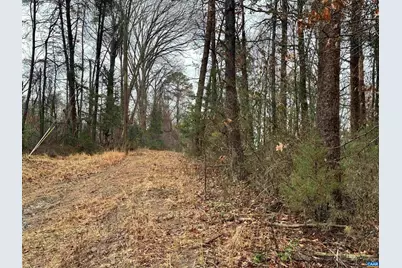 0 Elly Rd #50 81, Aroda, VA 22709 - Photo 14