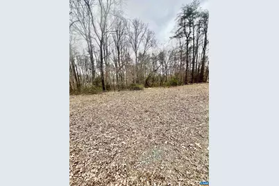 8955 Louisa Rd, Gordonsville, VA 22942 - Photo 22