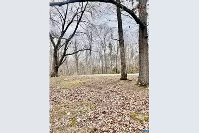 8955 Louisa Rd, Gordonsville, VA 22942 - Photo 20