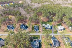 49 Pine Shadow Ct, Troy, VA 22974 - Photo 42