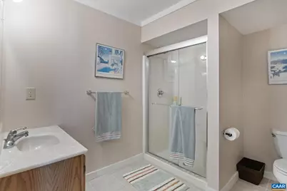 7 Dover Ct, Palmyra, VA 22963 - Photo 54