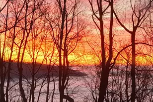 1942 Pocosan Mountain Rd, Stanardsville, VA 22973 - Photo 16