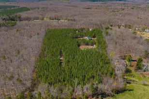 1340 Roundabout Rd, Louisa, VA 23093 - Photo 60