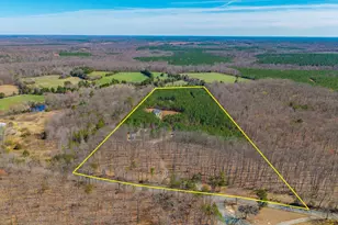 1340 Roundabout Rd, Louisa, VA 23093 - Photo 58