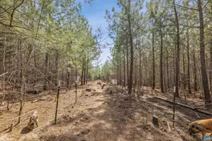 1340 Roundabout Rd, Louisa, VA 23093 - Photo 54