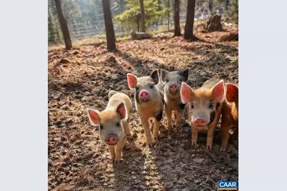 1340 Roundabout Rd, Louisa, VA 23093 - Photo 1