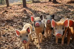 1340 Roundabout Rd, Louisa, VA 23093 - Photo 1