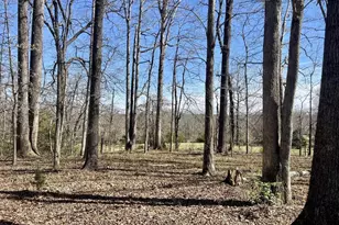 289 Community House Rd, Kents Store, VA 23084 - Photo 36