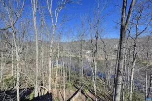 3 Nutwood Cir, Palmyra, VA 22963 - Photo 38