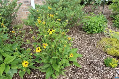 1185 Belle Meade Rd, Bumpass, VA 23024 - Photo 60