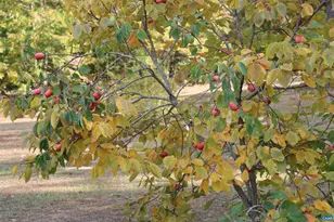 1185 Belle Meade Rd, Bumpass, VA 23024 - Photo 66