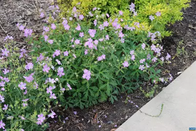 1185 Belle Meade Rd, Bumpass, VA 23024 - Photo 54