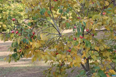 1185 Belle Meade Rd, Bumpass, VA 23024 - Photo 62