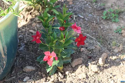 1185 Belle Meade Rd, Bumpass, VA 23024 - Photo 56