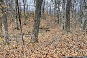 1185 Belle Meade Rd, Bumpass, VA 23024 - Photo 68