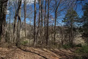 Middle River Rd, Stanardsville, VA 22973 - Photo 1