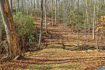 793 Morning Glory Turn, Ruckersville, VA 22968 - Photo 38