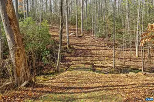 793 Morning Glory Turn, Ruckersville, VA 22968 - Photo 38