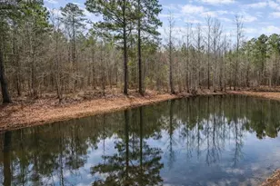 Jefferson Hwy, Bumpass, VA 23024 - Photo 1