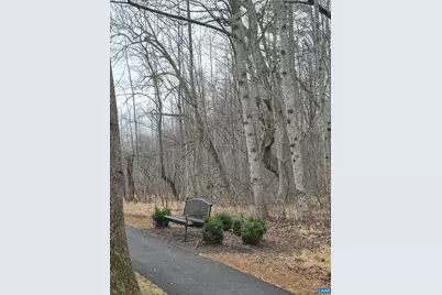 598 Mistland Trl, Ruckersville, VA 22968 - Photo 68