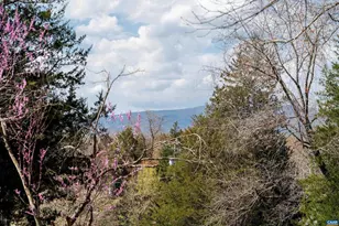 5343 Amicus Rd, Ruckersville, VA 22968 - Photo 48
