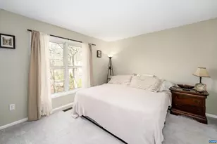 5343 Amicus Rd, Ruckersville, VA 22968 - Photo 22