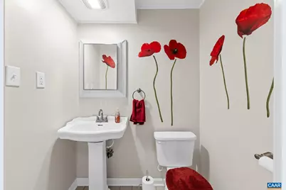 1029 West Daffodil Rd, Ruckersville, VA 22968 - Photo 20