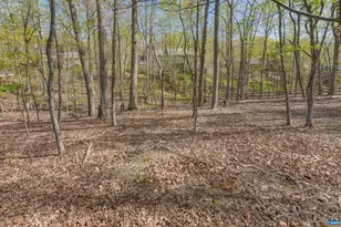 15 Austin Dr, Palmyra, VA 22963 - Photo 36