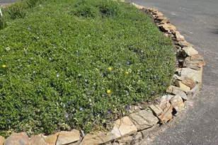 798 Jefferson Dr, Palmyra, VA 22963 - Photo 4