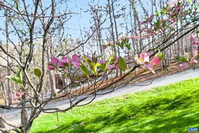 40 Bridlewood Dr, Palmyra, VA 22963 - Photo 14